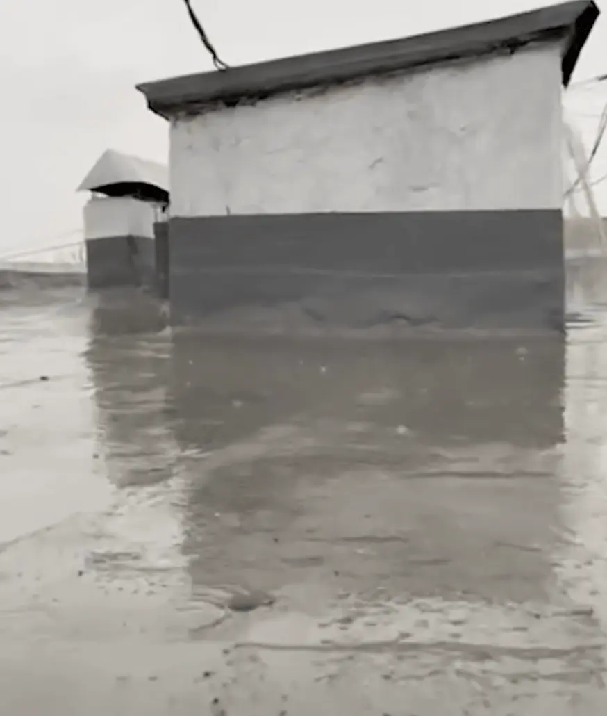 Дах після Aqua Shield
